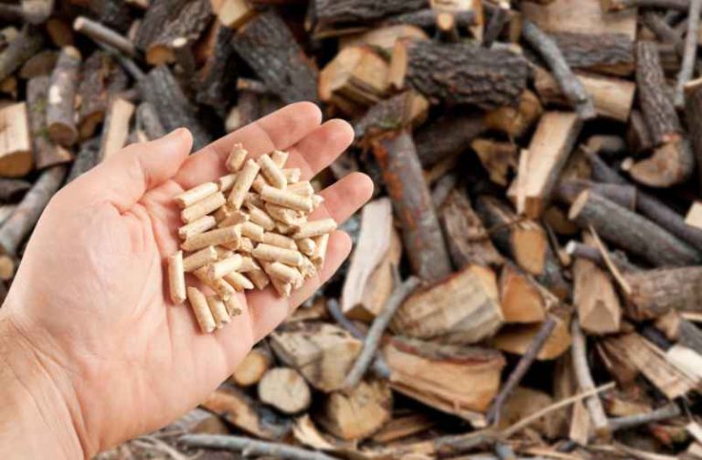 Comment fabriquer ses propres granulés de bois ? - Do It Yvette