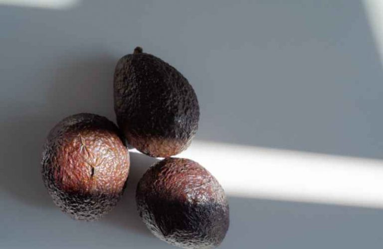 Comment faire germer un avocat rapidement à la maison ?-Do It Yvette